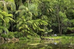 elope mount tamborine.1