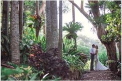 elope mount tamborine.4
