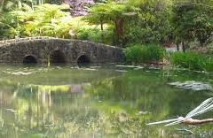 elope mount tamborine.5