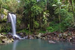 elope mount tamborine