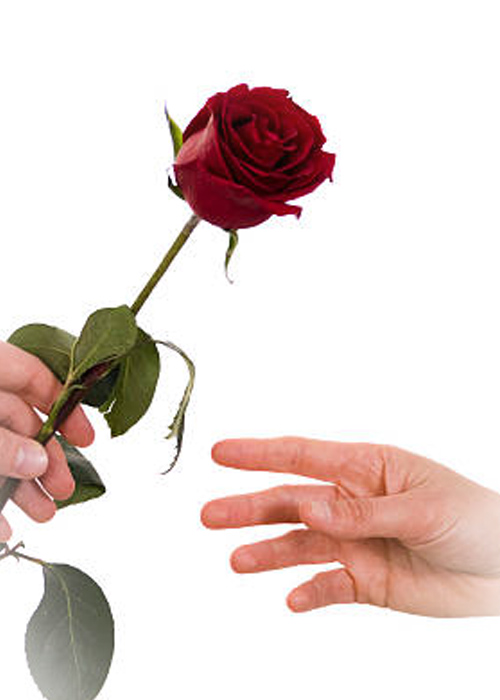 Rose Giving Ceremony Mount Tamborine Marriage Celebrant