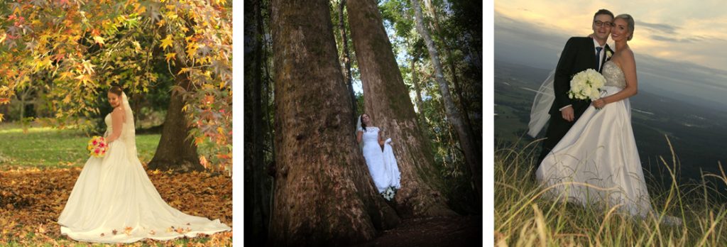 Elope Mount Tamborine