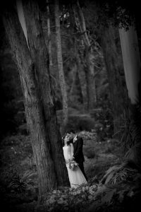 Mount Tamborine Elopement Packages